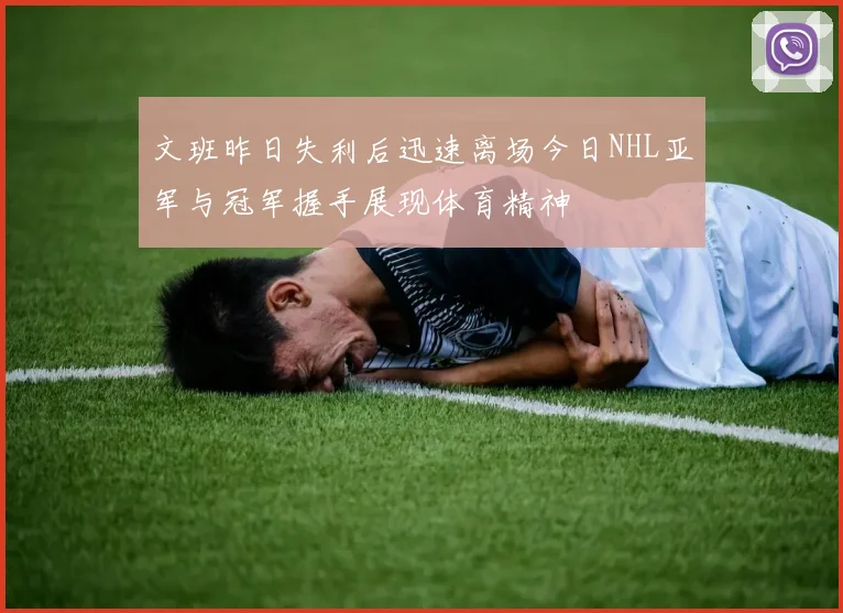 文班昨日失利后迅速离场今日NHL亚军与冠军握手展现体育精神