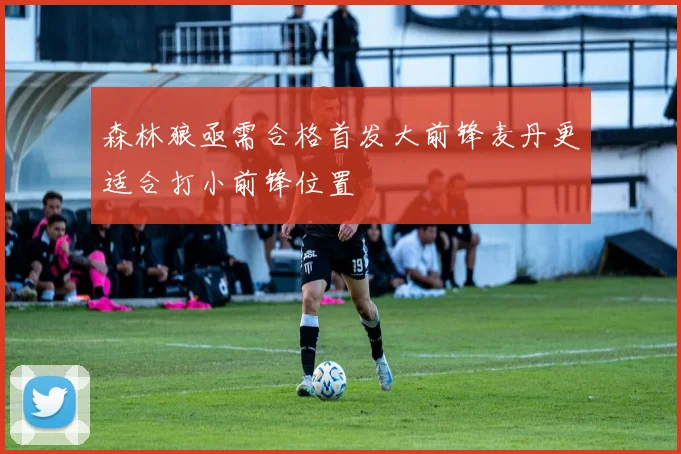 森林狼亟需合格首发大前锋麦丹更适合打小前锋位置